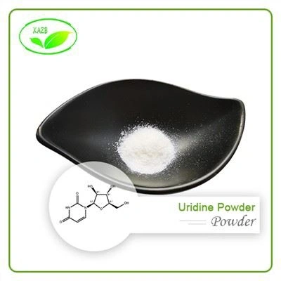 Uridine Powder
